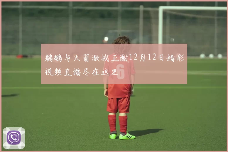 鹈鹕与火箭激战正酣12月12日精彩视频直播尽在这里