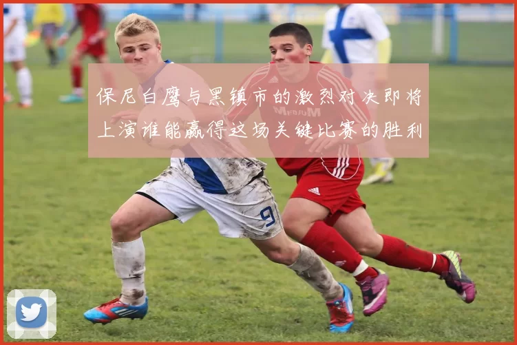 保尼白鹰与黑镇市的激烈对决即将上演谁能赢得这场关键比赛的胜利