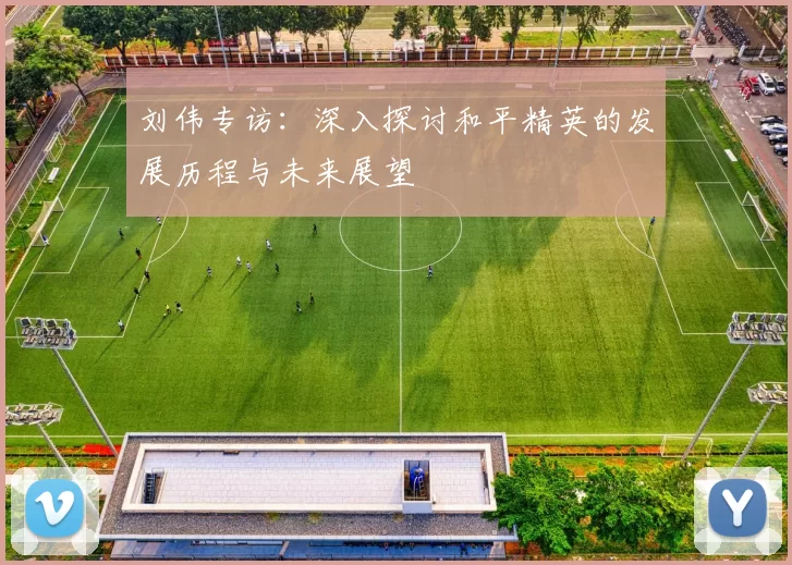刘伟专访：深入探讨和平精英的发展历程与未来展望