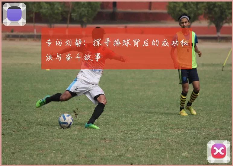 专访刘静：探寻排球背后的成功秘诀与奋斗故事