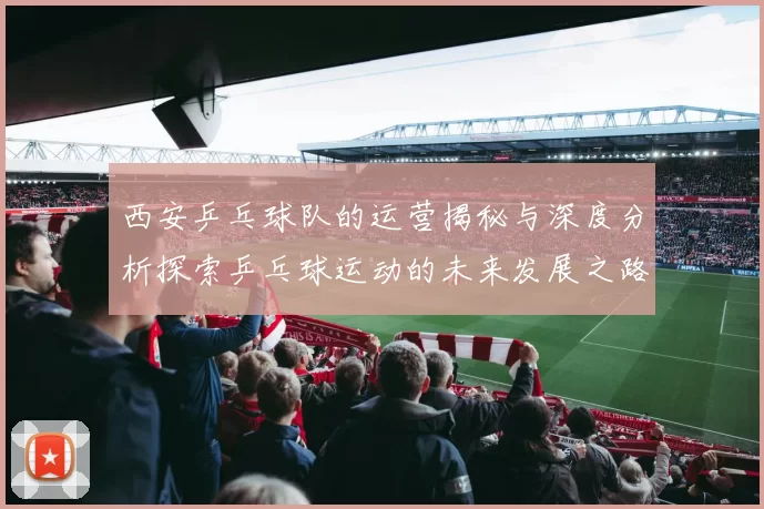 西安乒乓球队的运营揭秘与深度分析探索乒乓球运动的未来发展之路