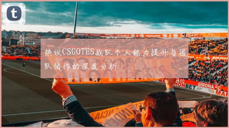 热议CSGOTES战队个人能力提升与团队协作的深度分析