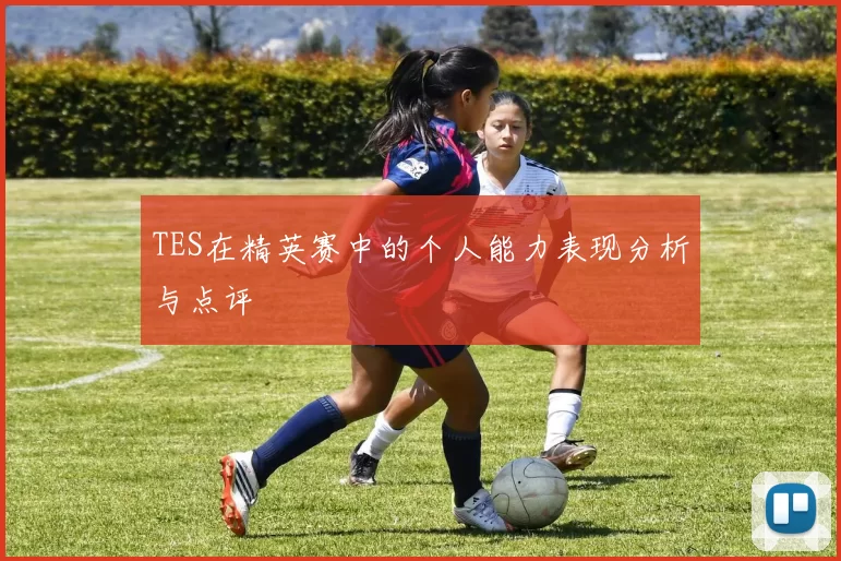 TES在精英赛中的个人能力表现分析与点评