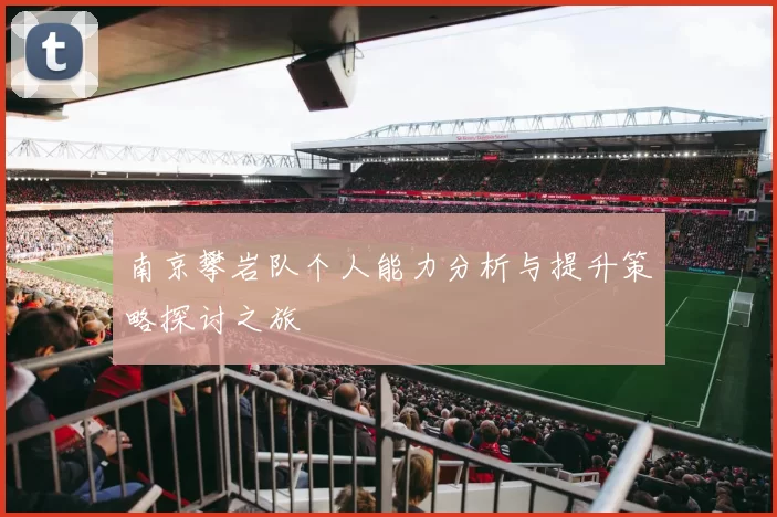 南京攀岩队个人能力分析与提升策略探讨之旅