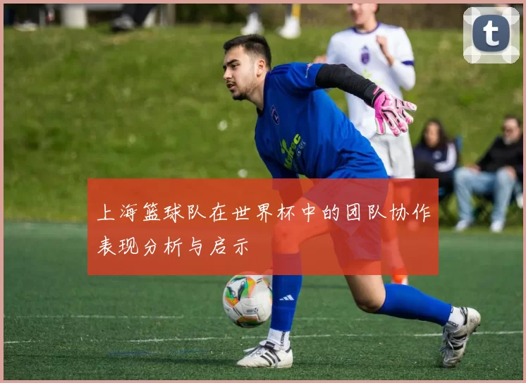 上海篮球队在世界杯中的团队协作表现分析与启示